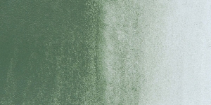 Davy's Gray