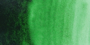 Hooker's Green