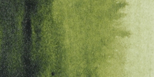 Sap Green