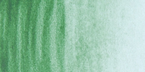 Terre Verde