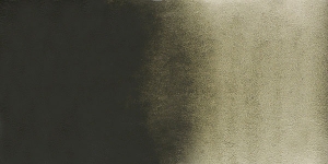 Davy's Gray