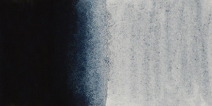 Payne's Gray