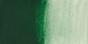Terre Verte