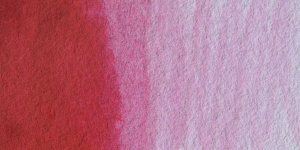 Permanent Rose