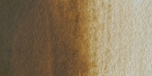 Raw Umber