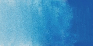 Cinereous Blue