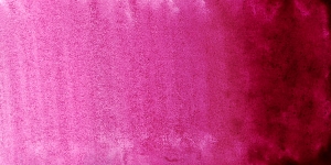 Opera Rose