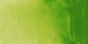 Phthalo Green Light