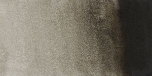 Raw Sepia