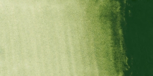 Sap Green