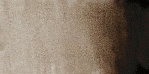 Warm Sepia