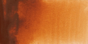 Gold Brown