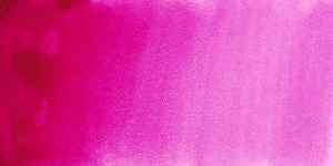 Bright Rose