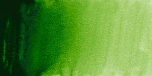 Sap Green