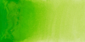 Yellow Green