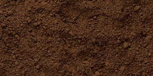 Burnt Umber