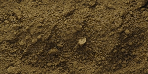 Raw Umber