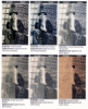 Comparison of Printed Surfaces Prepared with Digital Grounds