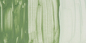 Green Earth Transparent