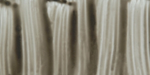 Pewter