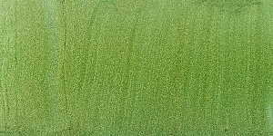 Shimmer Green