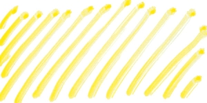 Marseille Yellow