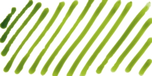 Peridot Green