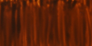 Amber
