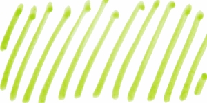 Aniseed Green