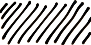 Ink Black