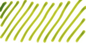 Sandalwood Green