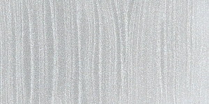 Shimmer Silver