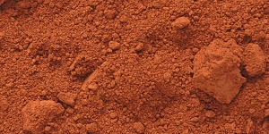 Burnt Sienna