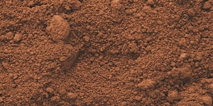Burnt Umber