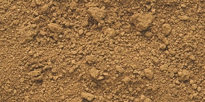 Raw Umber