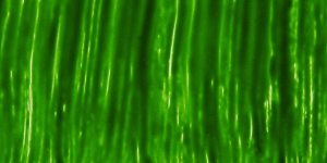 Chartreuse