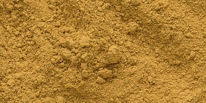 Raw Sienna