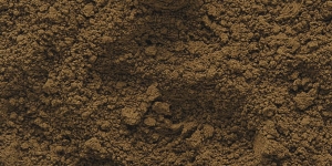 Raw Umber