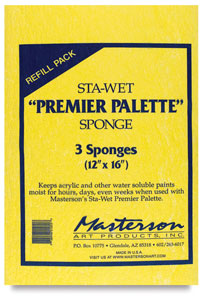 Sponge Insert, Pkg of 3