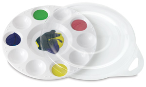 Plastic Tray with Cover