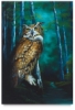 Midnight Owl