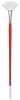 Fan, Size 6