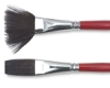 Before and After Brushes
