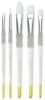 White Taklon Set of 5