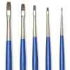 Set of 5 Brights