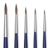 Set of 5 Rounds