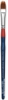 Filbert, Size 1/2