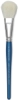 Mop
