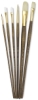 Combination Set of 6 Brushes (#9148)