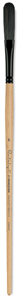 Bristle Egbert, Size 6